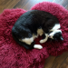 IMG-20180729-WA0000