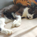 IMG-20191026-WA0000