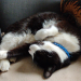 IMG-20191026-WA0001