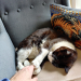 IMG-20191026-WA0002