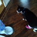 IMG-20191227-WA0001