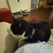 IMG-20201225-WA0001