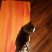 IMG-20210111-WA0000