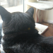 IMG-20210514-WA0001