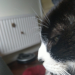 IMG-20210514-WA0002
