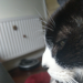 IMG-20210514-WA0003