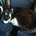 IMG-20210823-WA0002