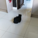IMG-20211003-WA0000