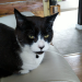 IMG-20211003-WA0001