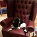 IMG-20211026-WA0000