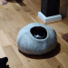 IMG-20211115-WA0000