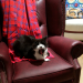 IMG-20211213-WA0000