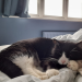 IMG-20220218-WA0003