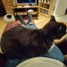 IMG-20220319-WA0001