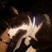 IMG-20220720-WA0000