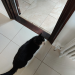 IMG-20220726-WA0000