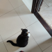 IMG-20220726-WA0002