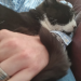 IMG-20220728-WA0007