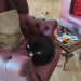 IMG-20220924-WA0000