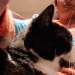 IMG-20221223-WA0000