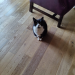 IMG-20230316-WA0000