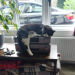 IMG-20230715-WA0002