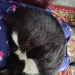 IMG-20230919-WA0000