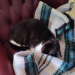 IMG-20231016-WA0000