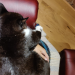 IMG-20231024-WA0002