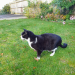 IMG-20231108-WA0001