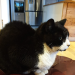 IMG-20231108-WA0002