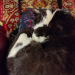 IMG-20231114-WA0001