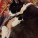 IMG-20231129-WA0000