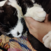 IMG-20231129-WA0001