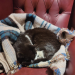 IMG-20231205-WA0000
