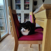IMG-20231207-WA0000
