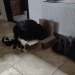 IMG-20231207-WA0004