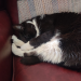 IMG-20231215-WA0000