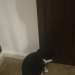 IMG-20240209-WA0001