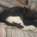 IMG-20240209-WA0005