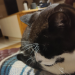 IMG-20240301-WA0001
