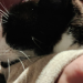 IMG-20240417-WA0002