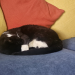 IMG-20240515-WA0001