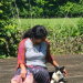 IMG-20240520-WA0006