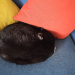 IMG-20240608-WA0003