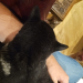 IMG-20240703-WA0001