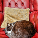 IMG-20240705-WA0003