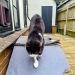 IMG-20240712-WA0001
