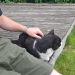 IMG-20240725-WA0005