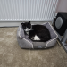 IMG-20240810-WA0001